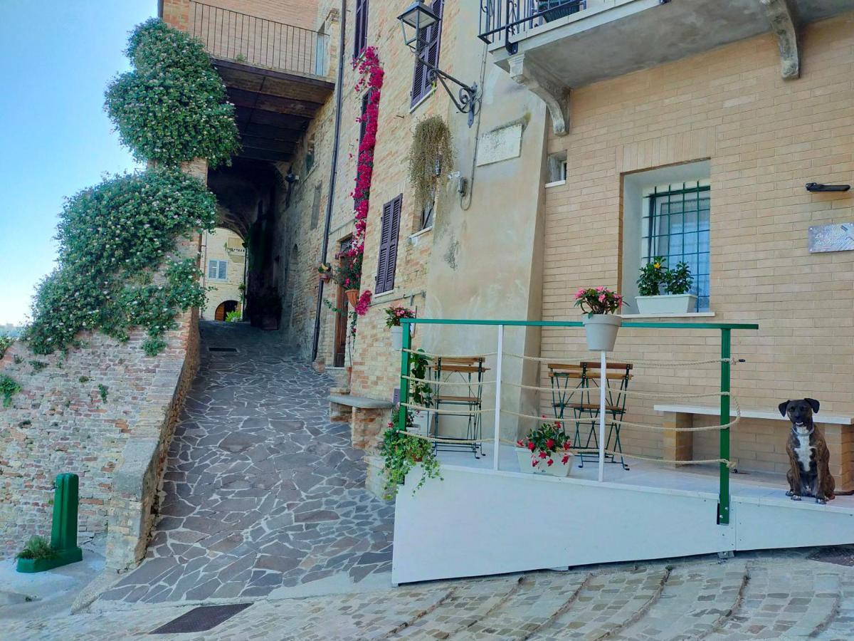 Bnb La Casina Dei Nonni Bed & Breakfast Campofilone Exterior photo